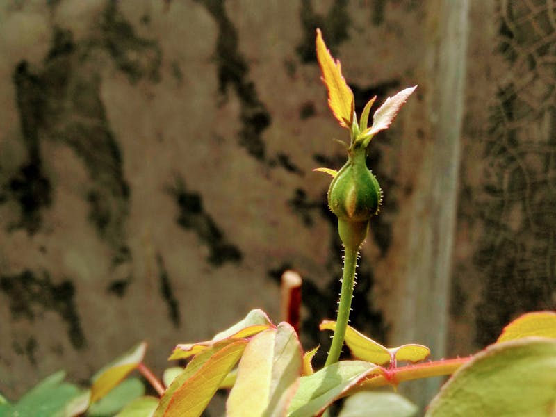 香港5G覆蓋邊區最好2026：4大電訊商全面比較